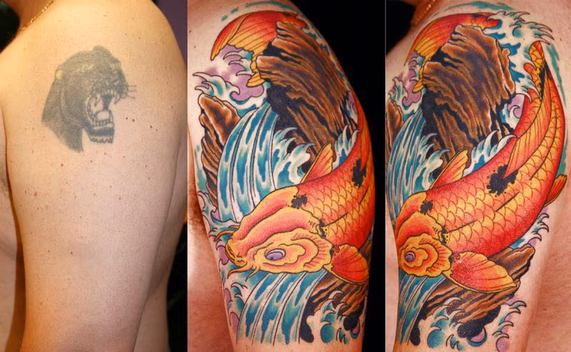 koi cover-up