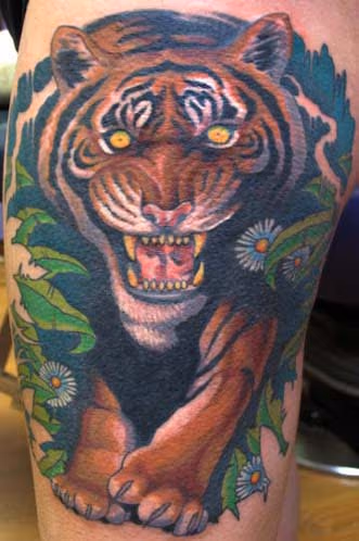 Tiger
