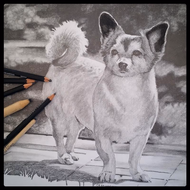 dog portrait