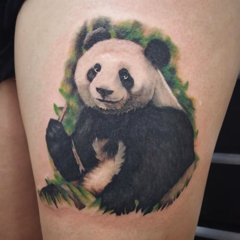 Panda