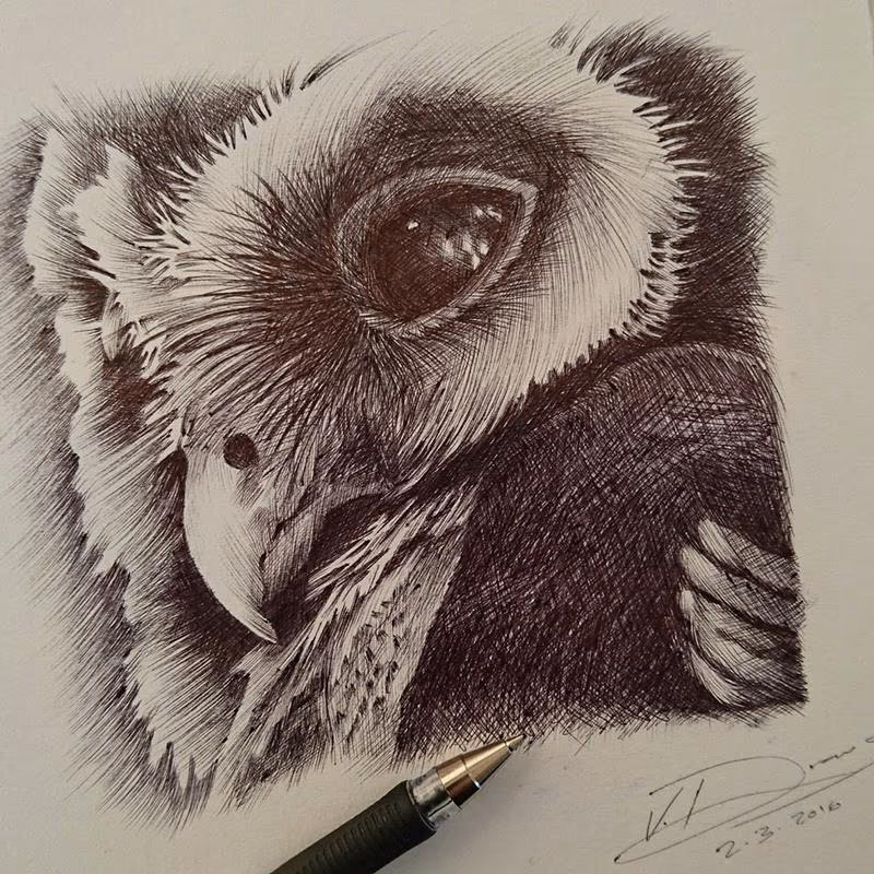 Owl