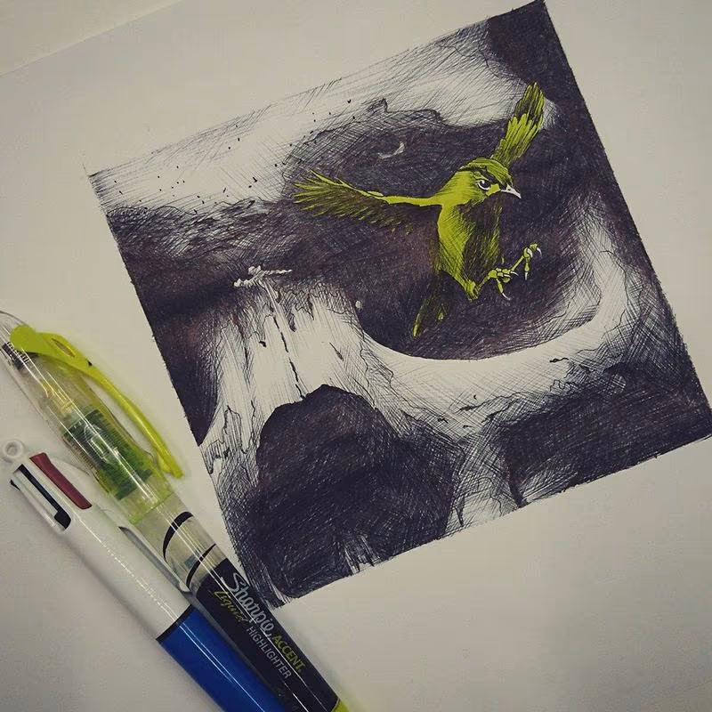 Skull and Bird drawing
