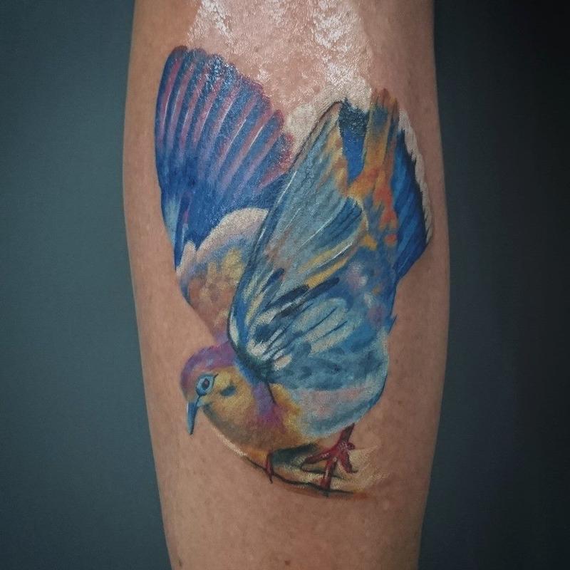 Colourful Bird
