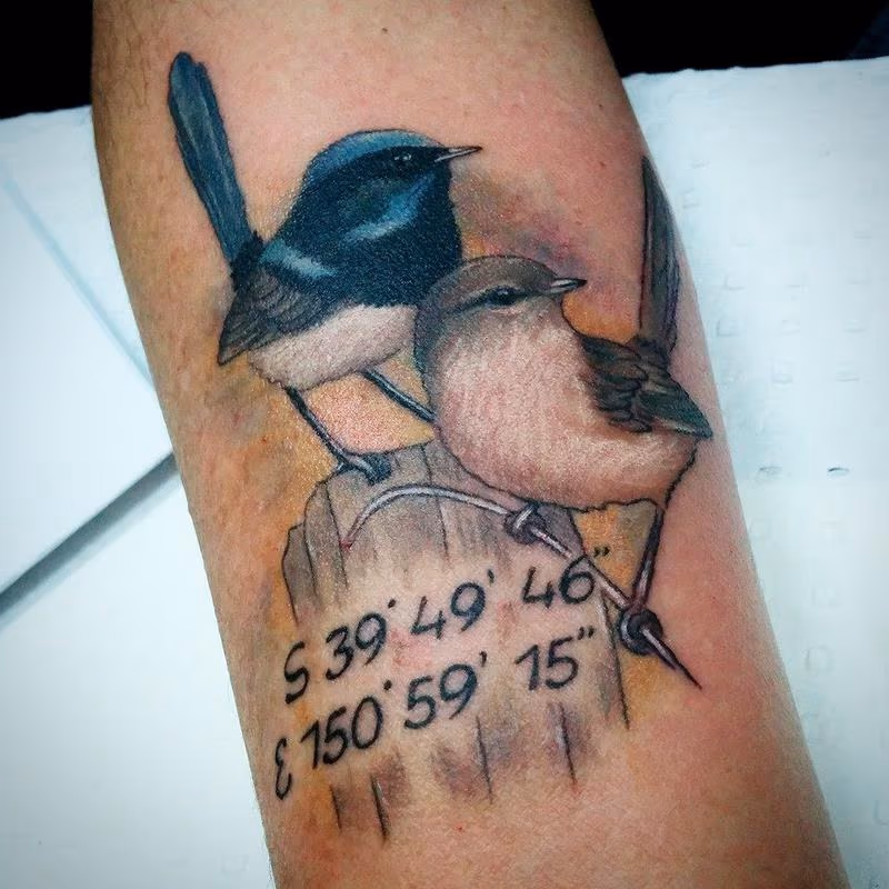 two birds with coordinates
