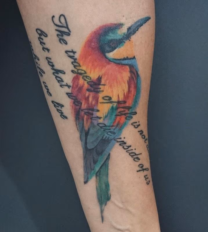 Colour Bird
