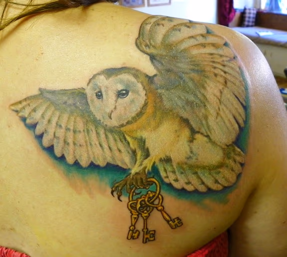 Cara's Owl