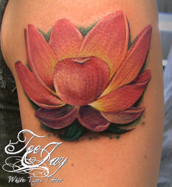 Little Lotus
