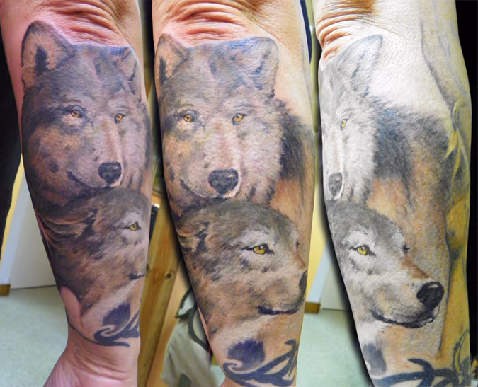 Mary's Wolves