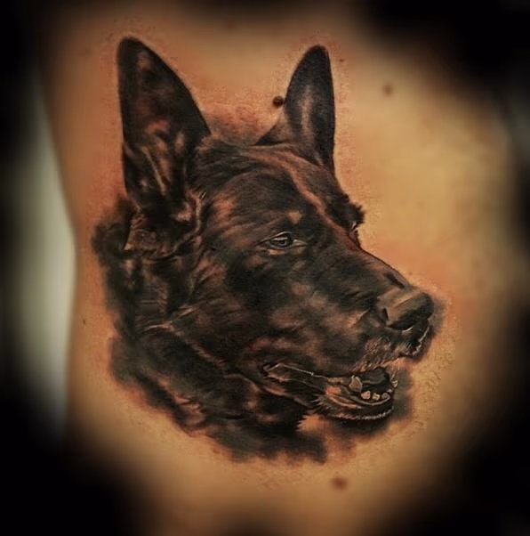 Dog Portrait