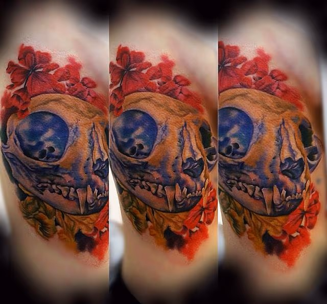 Cat skull rib piece
