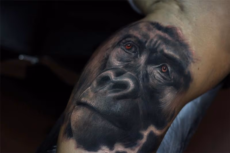 Gorilla