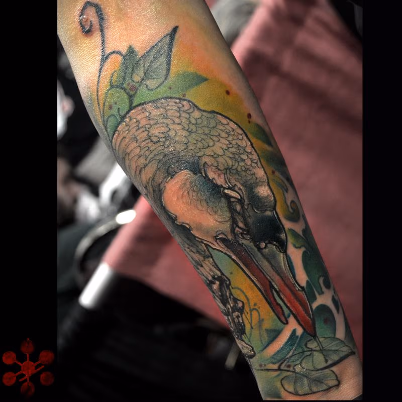 bird
