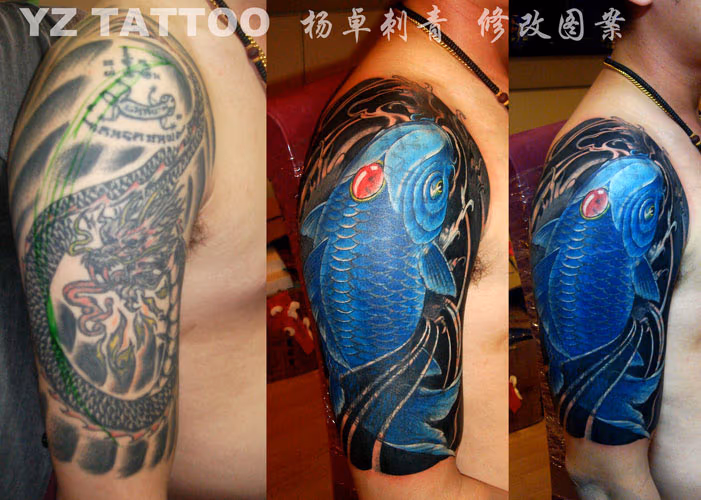 Koi Cover-up