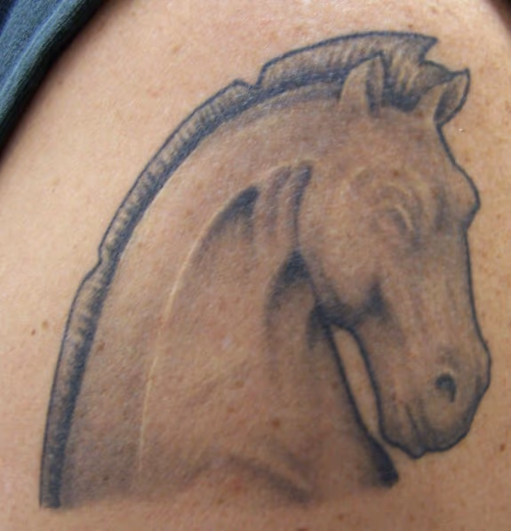 greek horse