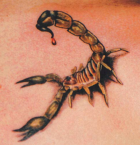 scorpion