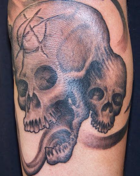 chaos skulls